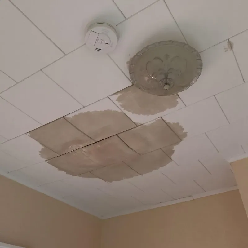 Ceiling Water Damage Repair in Hico, TX