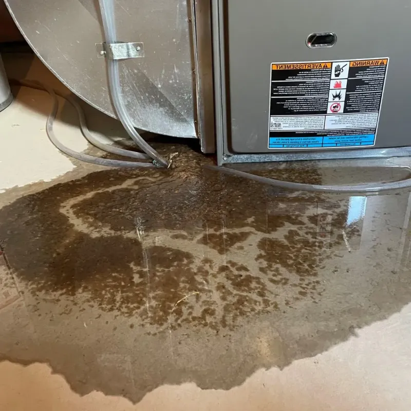 Pipe Burst and Leak Restoration in Hico, TX