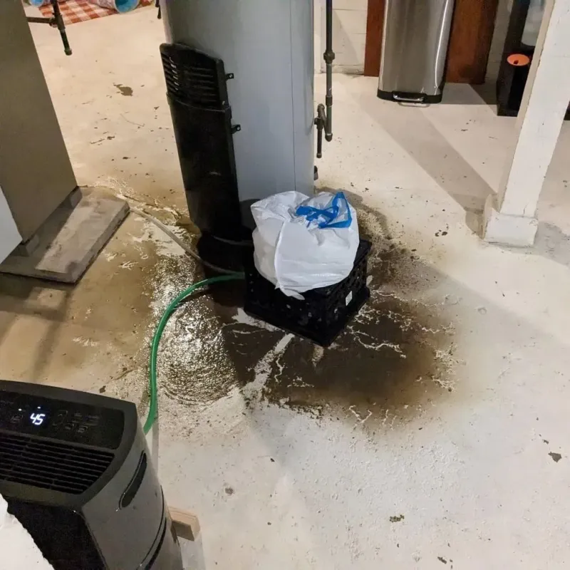Sewage Backup Cleanup Service in Hico, TX